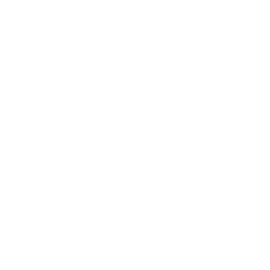 A white guitar icon